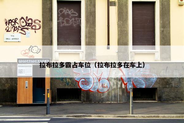 拉布拉多霸占车位（拉布拉多在车上）