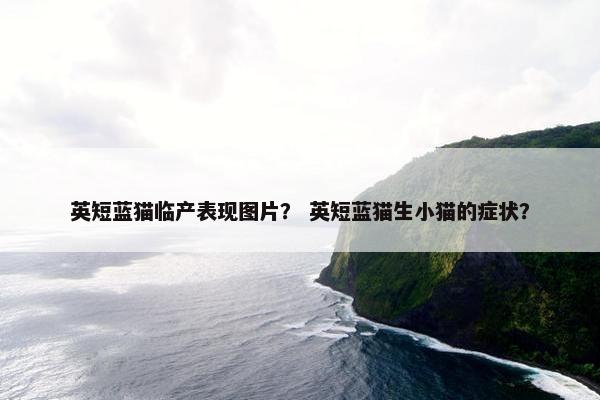 英短蓝猫临产表现图片？ 英短蓝猫生小猫的症状？