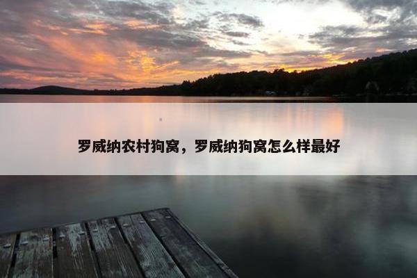 罗威纳农村狗窝，罗威纳狗窝怎么样最好