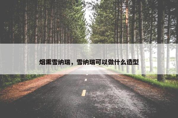 烟熏雪纳瑞，雪纳瑞可以做什么造型