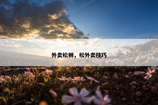 外卖松狮，松外卖技巧