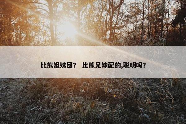比熊姐妹团？ 比熊兄妹配的,聪明吗？