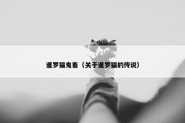 暹罗猫鬼畜（关于暹罗猫的传说）