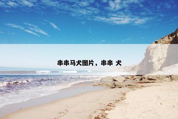 串串马犬图片，串串 犬