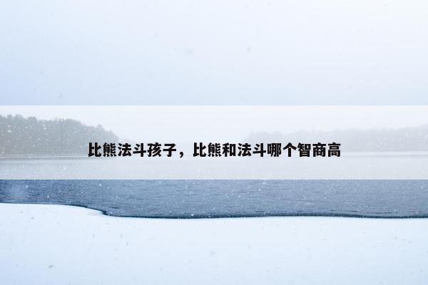 比熊法斗孩子，比熊和法斗哪个智商高