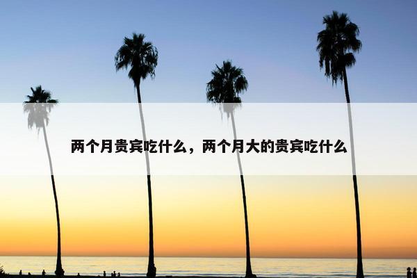 两个月贵宾吃什么，两个月大的贵宾吃什么