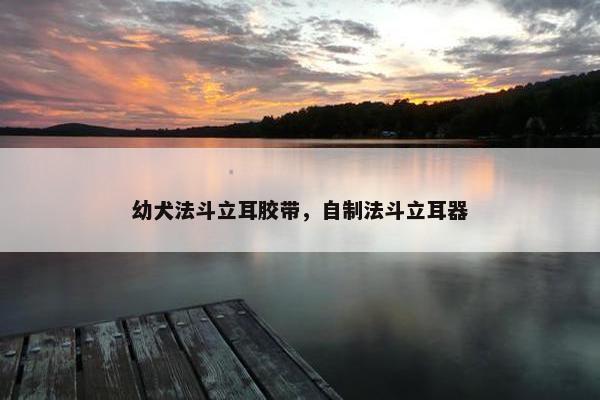 幼犬法斗立耳胶带，自制法斗立耳器