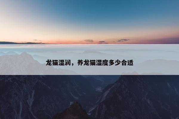 龙猫湿润，养龙猫湿度多少合适