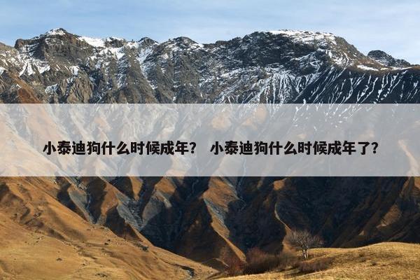 小泰迪狗什么时候成年？ 小泰迪狗什么时候成年了？