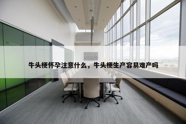牛头梗怀孕注意什么，牛头梗生产容易难产吗