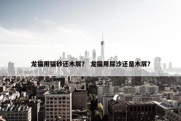 龙猫用猫砂还木屑？ 龙猫用尿沙还是木屑？