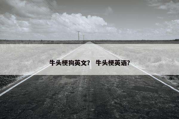 牛头梗狗英文？ 牛头梗英语？