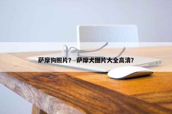 萨摩狗照片？ 萨摩犬图片大全高清？