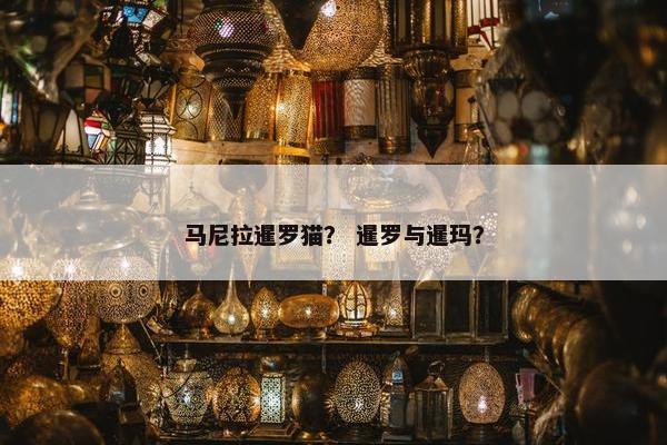 马尼拉暹罗猫？ 暹罗与暹玛？