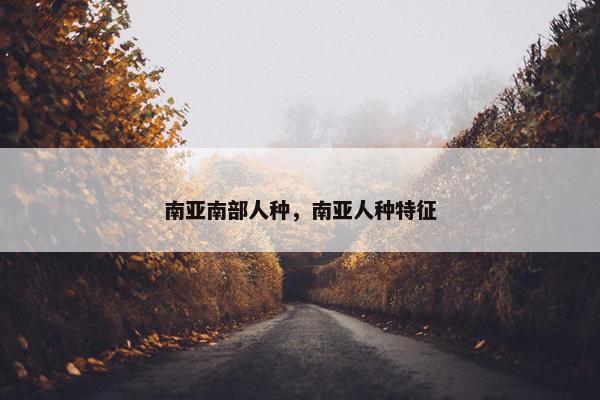南亚南部人种，南亚人种特征