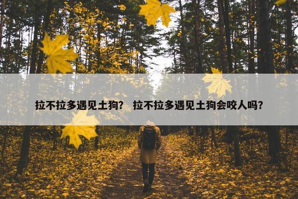 拉不拉多遇见土狗？ 拉不拉多遇见土狗会咬人吗？