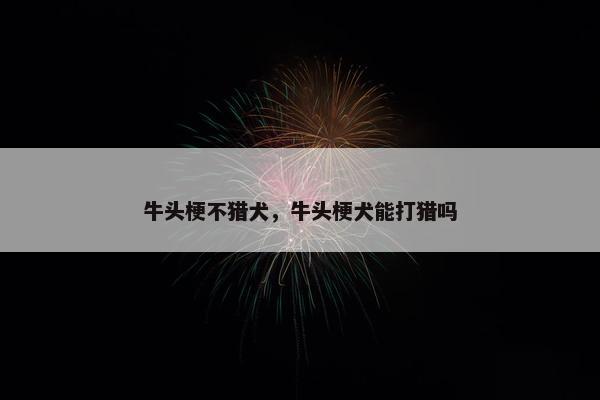 牛头梗不猎犬，牛头梗犬能打猎吗