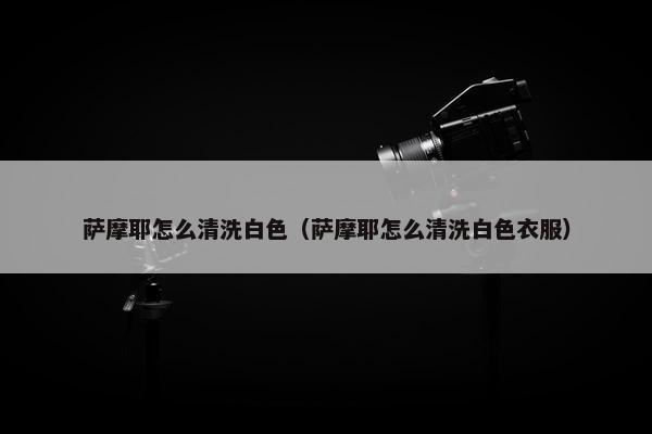 萨摩耶怎么清洗白色（萨摩耶怎么清洗白色衣服）