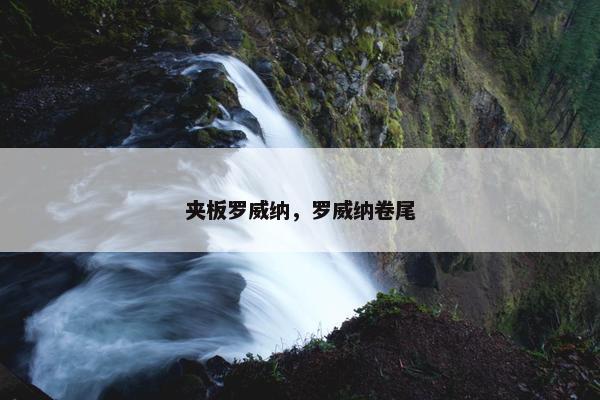 夹板罗威纳，罗威纳卷尾