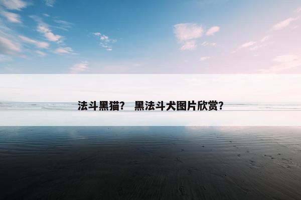 法斗黑猫？ 黑法斗犬图片欣赏？