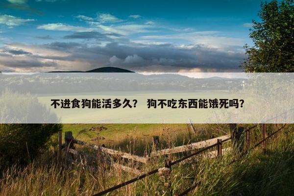 不进食狗能活多久？ 狗不吃东西能饿死吗？