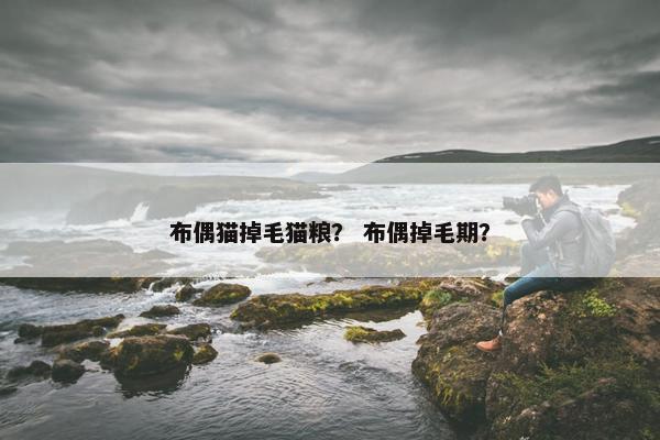 布偶猫掉毛猫粮？ 布偶掉毛期？