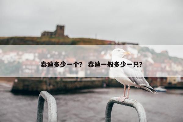 泰迪多少一个？ 泰迪一般多少一只？