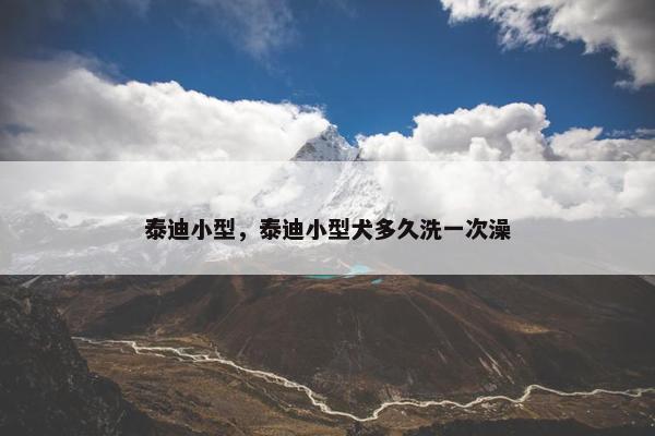 泰迪小型，泰迪小型犬多久洗一次澡