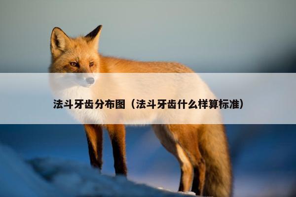 法斗牙齿分布图（法斗牙齿什么样算标准）