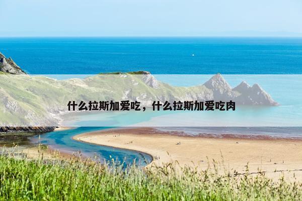 什么拉斯加爱吃，什么拉斯加爱吃肉