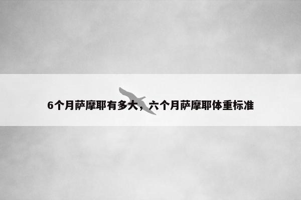 6个月萨摩耶有多大，六个月萨摩耶体重标准