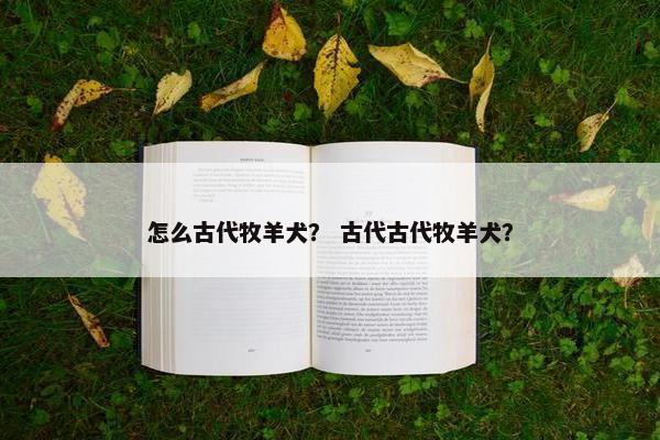 怎么古代牧羊犬？ 古代古代牧羊犬？