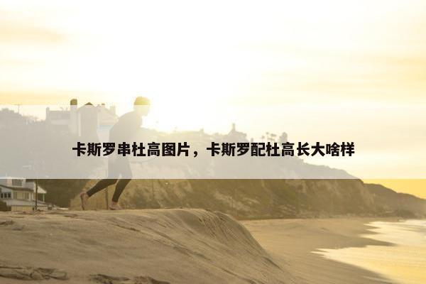 卡斯罗串杜高图片，卡斯罗配杜高长大啥样