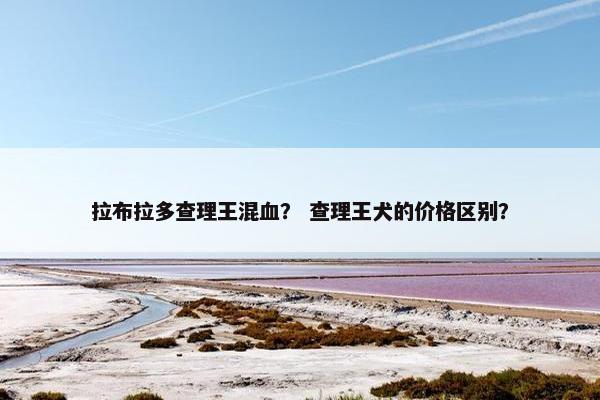 拉布拉多查理王混血？ 查理王犬的价格区别？