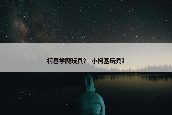 柯基学爬玩具？ 小柯基玩具？