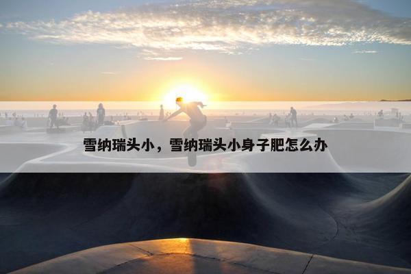 雪纳瑞头小，雪纳瑞头小身子肥怎么办