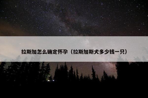 拉斯加怎么确定怀孕（拉斯加斯犬多少钱一只）