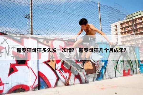暹罗猫母猫多久发一次情？ 暹罗母猫几个月成年？