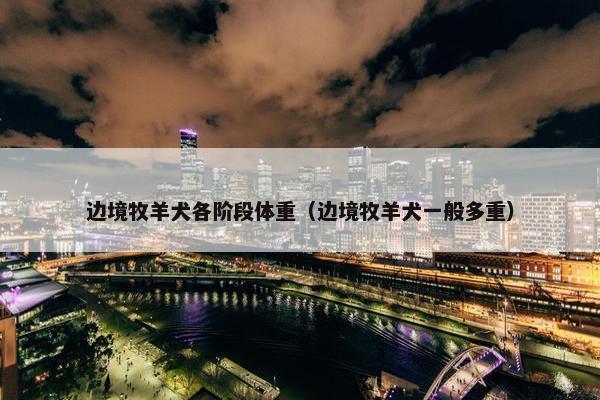 边境牧羊犬各阶段体重（边境牧羊犬一般多重）