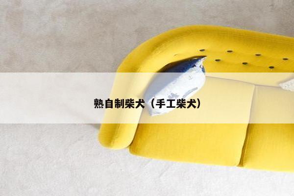 熟自制柴犬（手工柴犬）