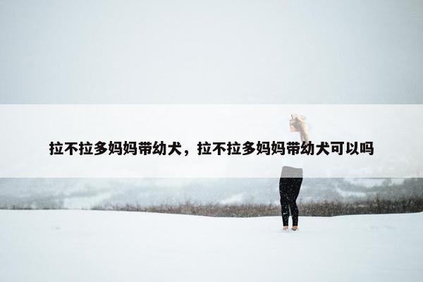 拉不拉多妈妈带幼犬，拉不拉多妈妈带幼犬可以吗