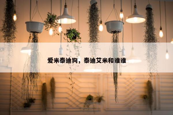 爱米泰迪狗，泰迪艾米和谁谁