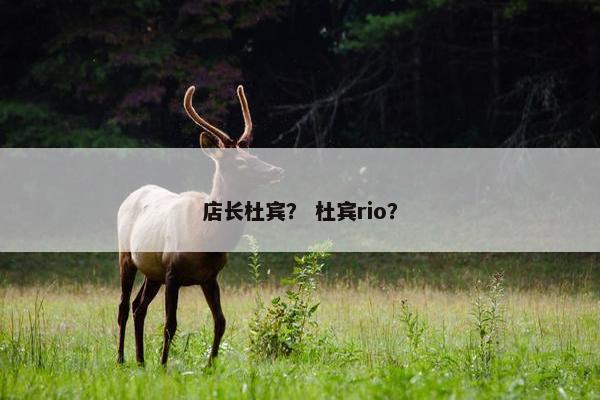 店长杜宾？ 杜宾rio？