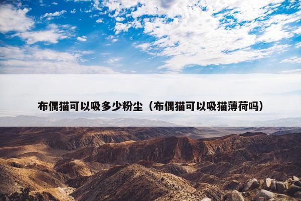 布偶猫可以吸多少粉尘（布偶猫可以吸猫薄荷吗）
