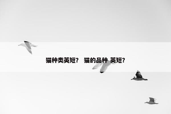 猫种类英短？ 猫的品种 英短？