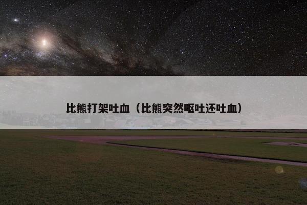 比熊打架吐血（比熊突然呕吐还吐血）