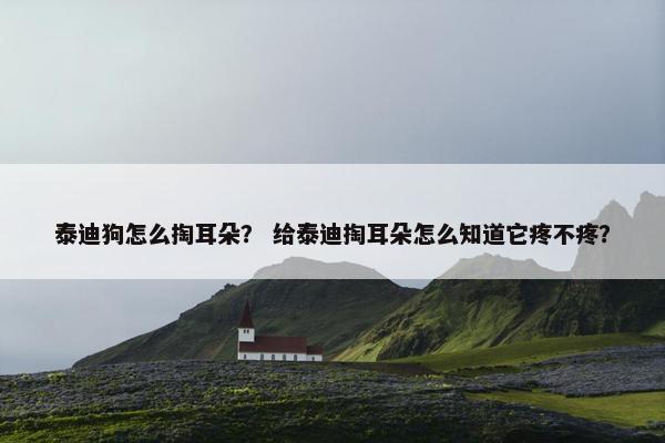 泰迪狗怎么掏耳朵？ 给泰迪掏耳朵怎么知道它疼不疼？