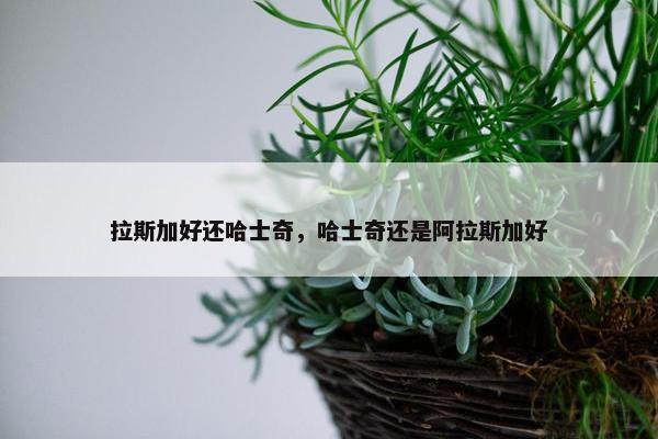 拉斯加好还哈士奇，哈士奇还是阿拉斯加好
