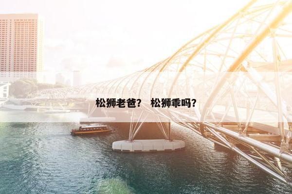 松狮老爸？ 松狮乖吗？