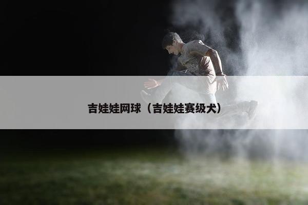 吉娃娃网球（吉娃娃赛级犬）